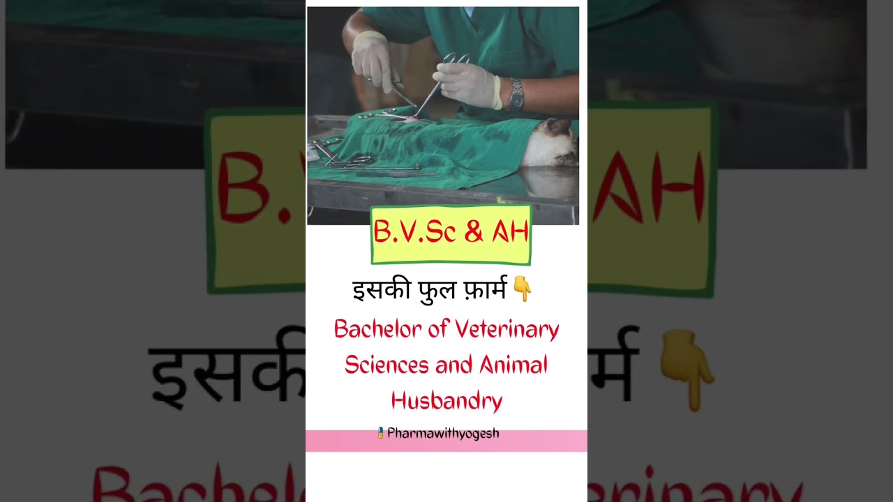 Full form of BVSc&AH. 