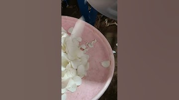 PENGIRIS KERIPIK TERBAIK