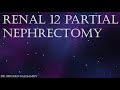 RENAL 12 partial nephrectomy / Резекция правой почки в воротах