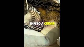 Esta Perra Abandonó a su Bebé 😭🐕