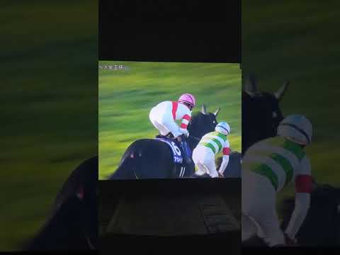 第４６回エリザベス女王杯🐎なんとアカイイト制覇‼️😱４着馬のソフトフルート軸の三連複特大万馬券🐴🎫はクビ差で夢と化す🤣