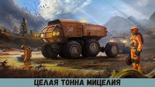 Э.М.Б.А 2 В Day R Survival 2024 # 20 ЦЕЛАЯ ТОННА МИЦЕЛИЯ