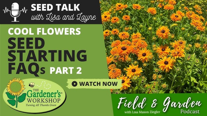 Seed Talk #2 - Cool Flowers Indoor Seed Starting FAQs, Part 1 