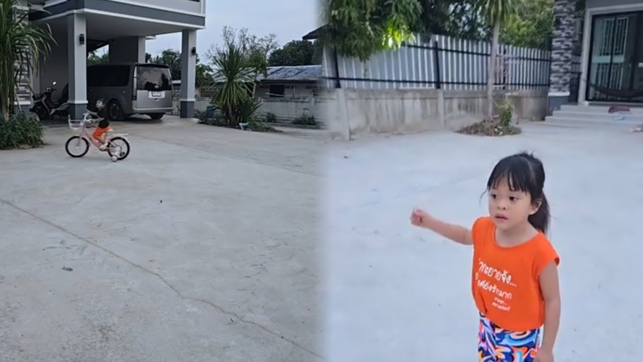 บรรยากาศยามเย็น #น้องเพชรน้องพลอย 