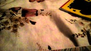 Bana Bir Masal Anlat Baba