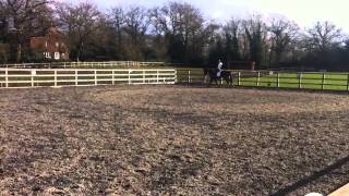 Trim Cf8Af7Fa 0D21 4339 Bd43 6046C0218Da2