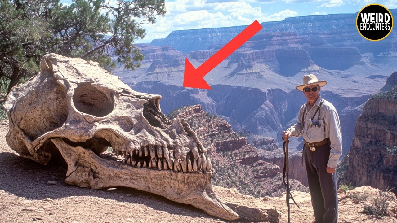 Cryptid Sightings in Arizona: What They Don’t Want You to Know! - YouTube