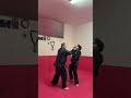 KENPO: CONCATENAZIONE SU MAE GERI/FRONT KICK. MAESTRO 6° DAN LUCIO PICCIOLI