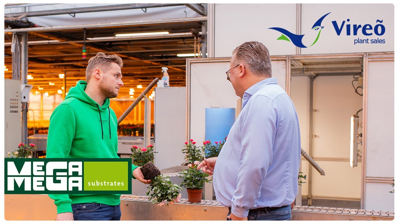 MeeGaa Substrates bij HPD Potplanten - Vireõ Groep