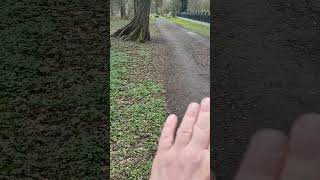 Ekoton czyli strefa przejścia przy drodze w parku