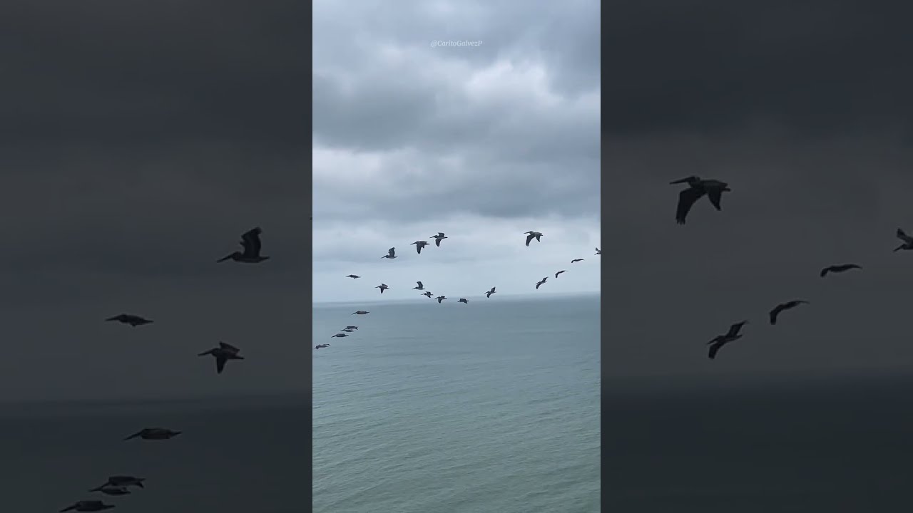 Donde hospedarte en Tonsupa 🚨🚨🚨