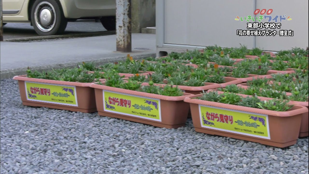 花に水やりをしながら見守り活動を 花の寄せ植えプランター贈呈式 Youtube