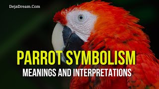 Parrot Symbolism: Meanings And Interpretations