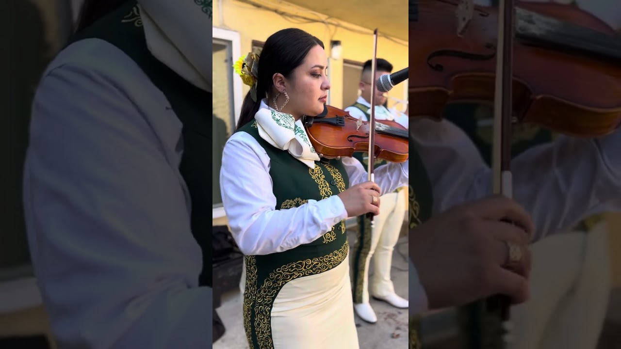 El herradero - Mariachi Corazón Latino