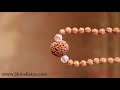 Rudraksha Mala + 2 Beads Of Sphatik With Guru Mani