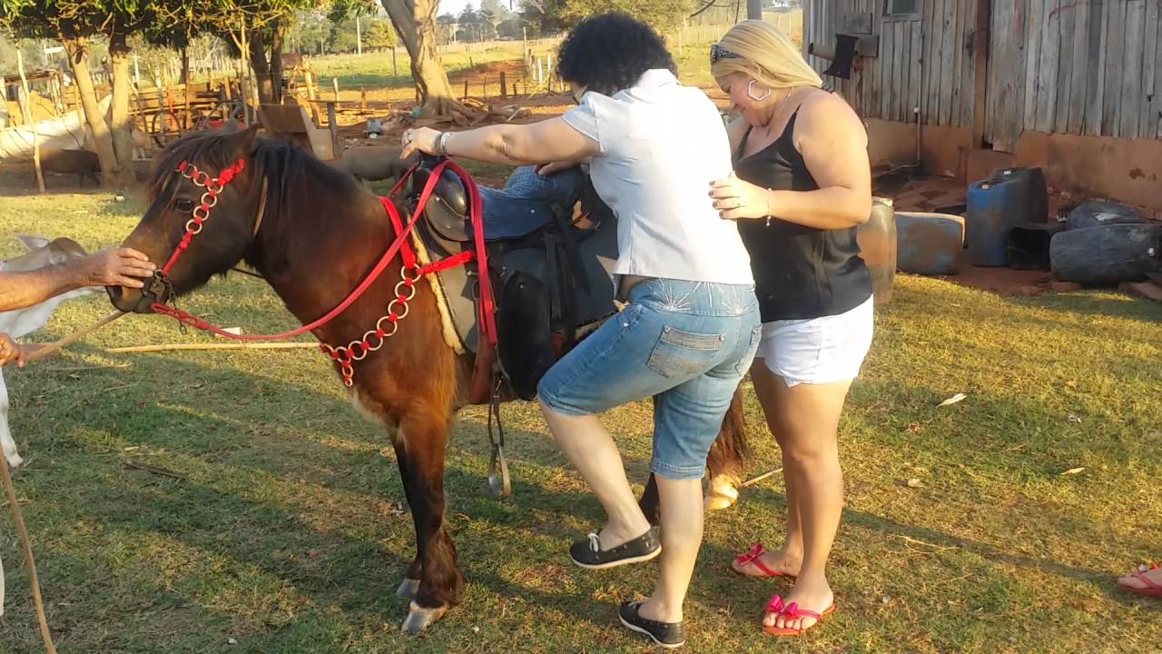 Andando De Cavalo é Youtube