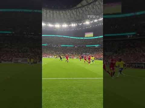 هدف ريتشارليسون العالمي في مباراة البرازيل وصربيا اليوم