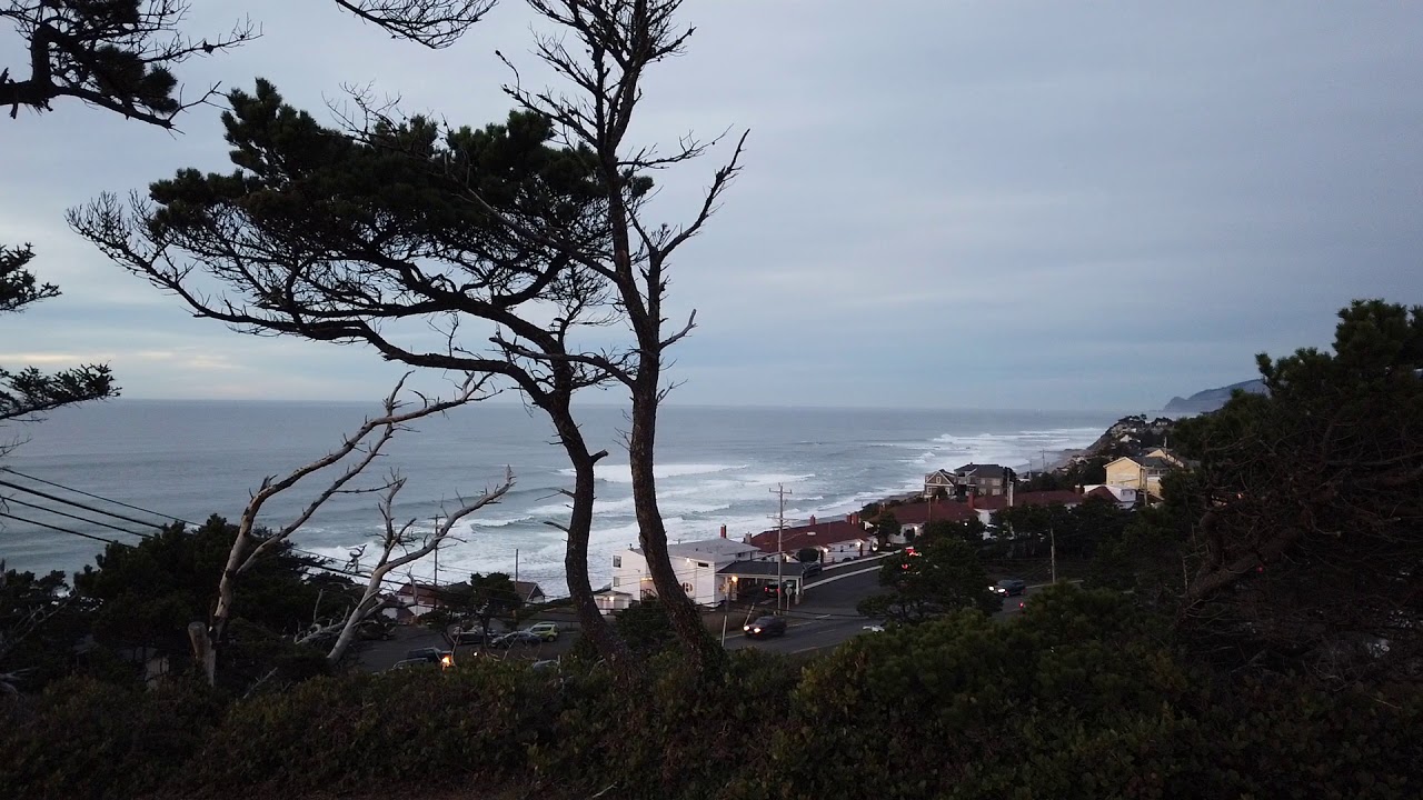 Walking the dog Sunset Taft Oregon Coast Panoramic Views Cascade Head DJI OSMO Pocket 1080P 50fps