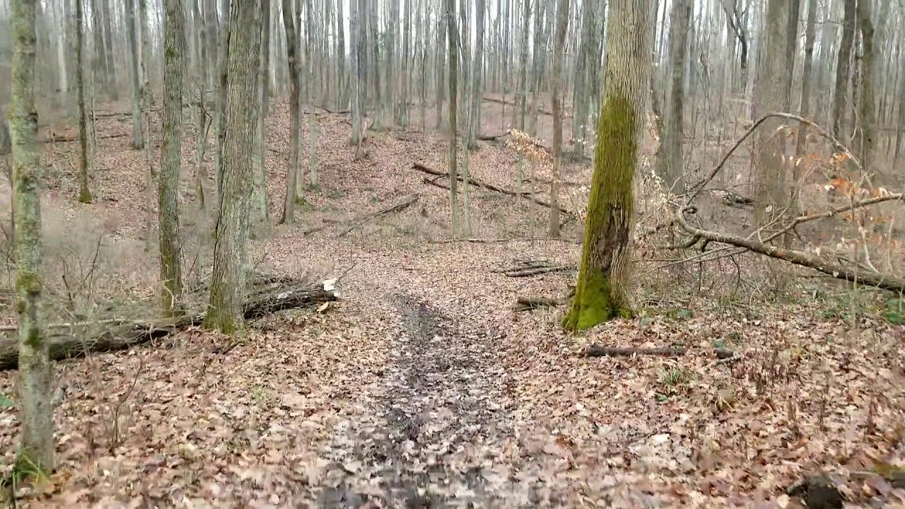 Saddle Barn Memories