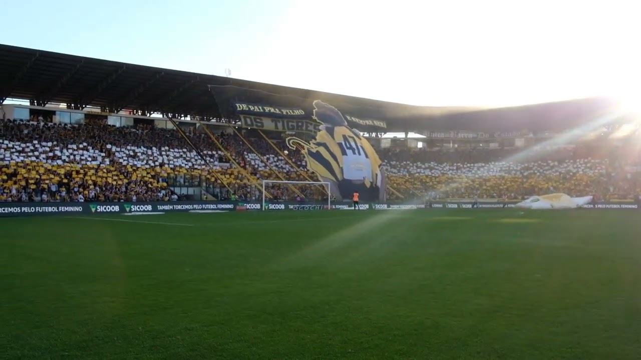 Mosaico da torcida do Criciúma - Os Tigres
