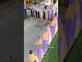 barınak ve hayvan psikolojisi