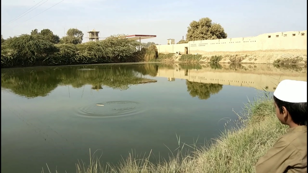 Fish farming in PakistanHow to start fish farmMachli farmFish Farm