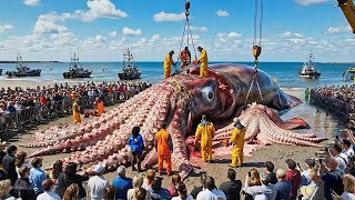 From the Abyss to the Deck – Giant Squid Caught on Longlines!