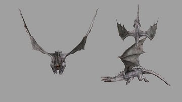 Flying Dragon Animation Cycle