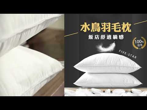 MIT頂級飯店枕 水鳥羽毛枕SUD【QIDINA】