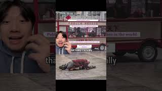 This Is A Pulitzer Winning Photo