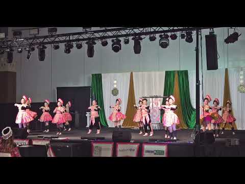 Golden Eclipse - 1st Place -  Dance Competition  Milwaukee Hmong New Year 2026