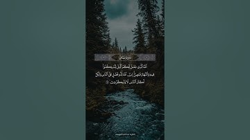 ﴿ وقال ربكم ادعوني أستجب لكم ﴾ تلاوة رائعة من #سورة_غافر للشيخ #عبدالله_الموسى
