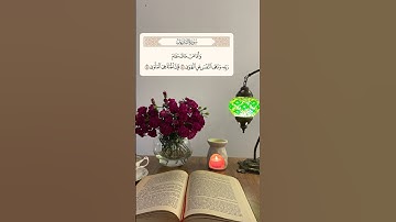 اسلام صبحي ❤ سورة النازعات
