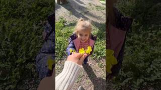 İkimizde Çiçek Toplamışız