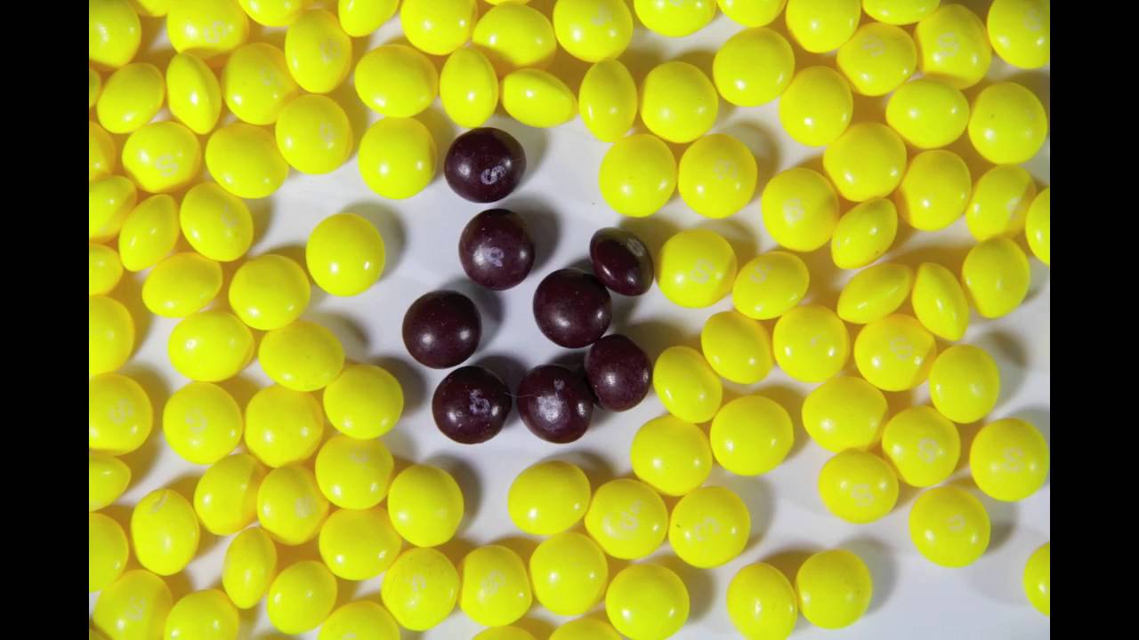 Bittersweet: The Winners and Losers from Free Trade