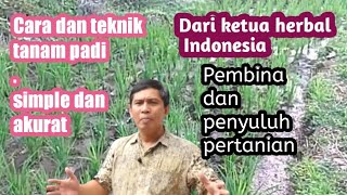 Cara dan teknik menanam PADI, dari semai sampai panen, Bpk Bayu diningrat