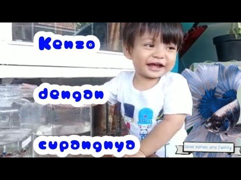 Bayi lucu dengan ikan cupang | betta fish | sedang sayang sayangnya