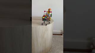 Parrot Drops a Tiny Cart, and Its Load, onto the Ground