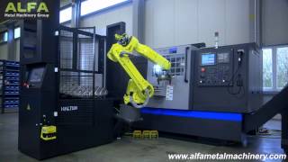HALTER Load Assistant Easy to move to another machine