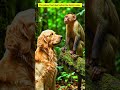 Patient & Doctor #shortsfeed #shortsvideo #trending