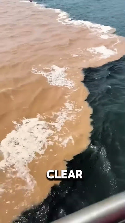 Where Atlantic and Pacific Oceans Meet...
