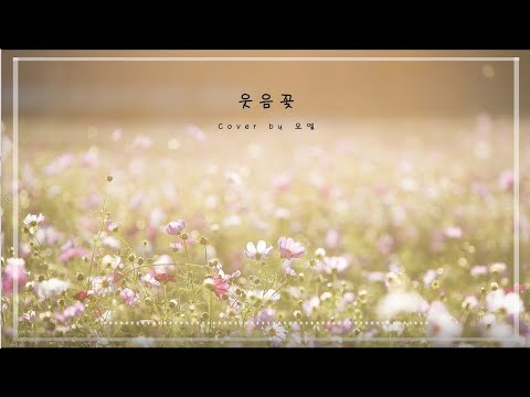 【 ヨエル 】 웃음꽃 ( Smile flower )
