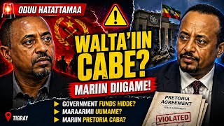 Oduu Ammee Tigraay Lola Abiy, Kirkira Lafaa Fi Ajaja Boeing Balaa Guddaa Ebla 22,2026