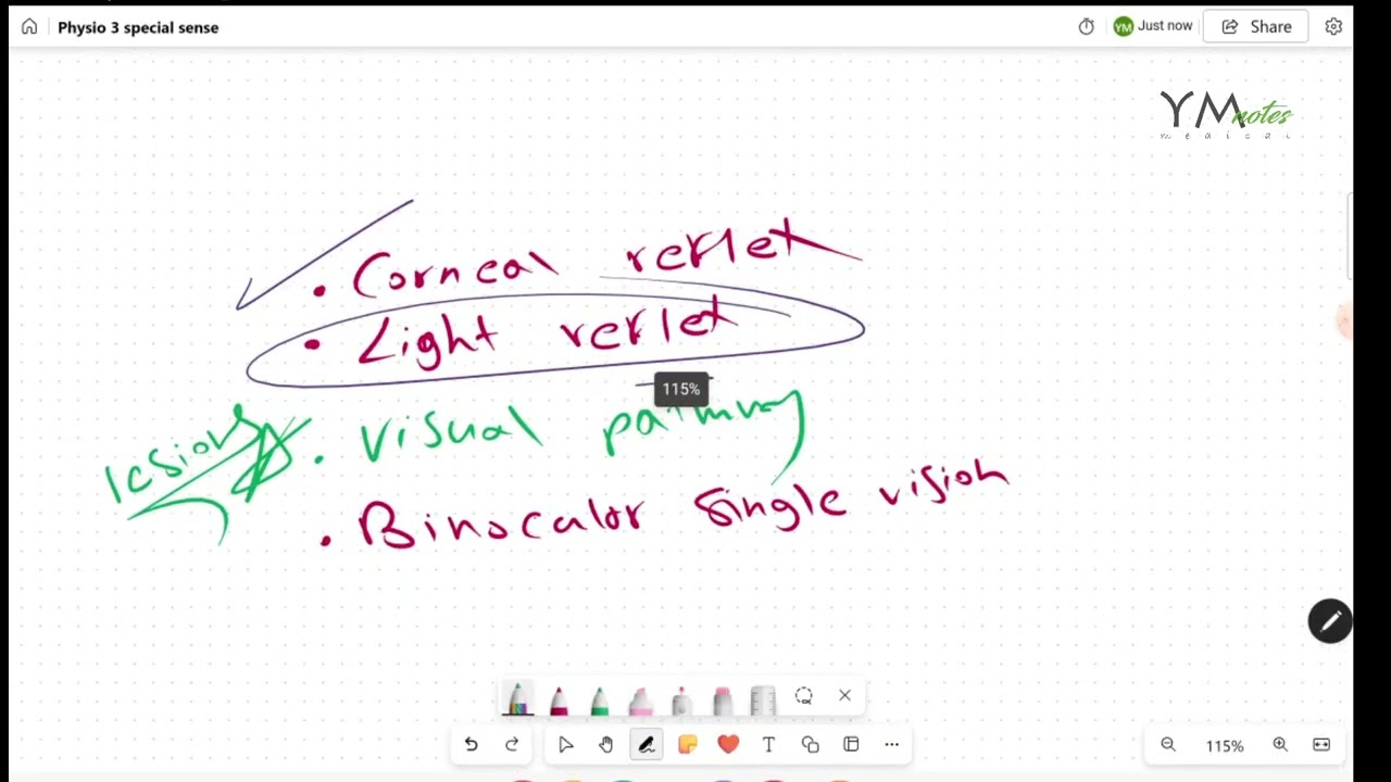 Visual Pathway |Special Sense|