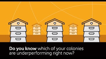 ApisProtect, bee monitoring technology