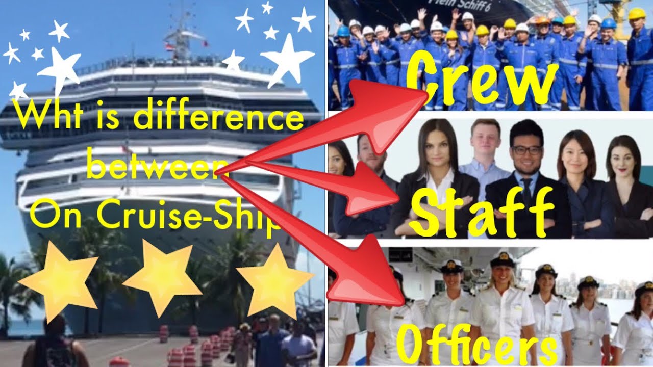 cruise ship crew vs staff