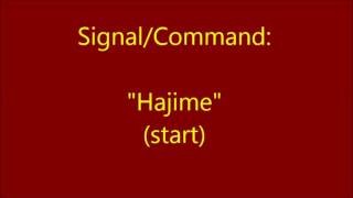 Judo Refereeing Hajime Start