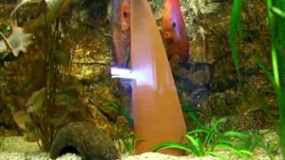 DSCF0655.AVI