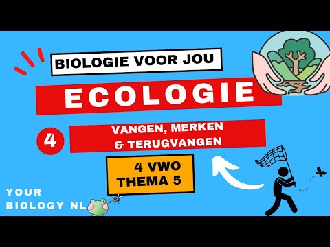 Video: Wat zijn de vier conversiestrategieën?