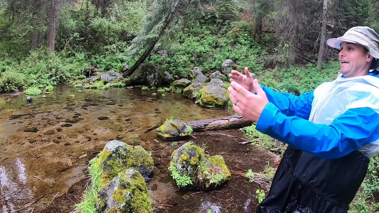Paddling the Headwaters of Spring Creek and Wood River in Southern